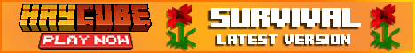 HayCube server banner