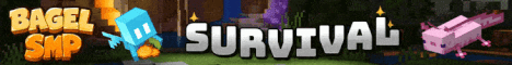 BagelSMP server banner