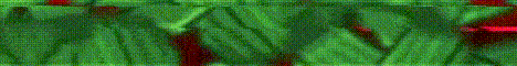 AppleMC server banner