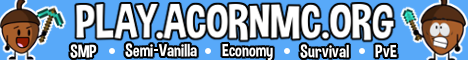 Acorn server banner