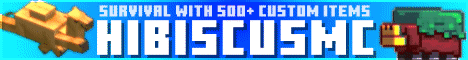 HibiscusMC server banner
