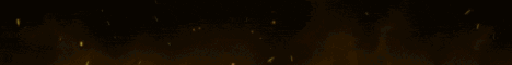 Seiky Network server banner