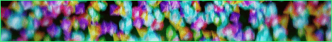 NineDash Network server banner