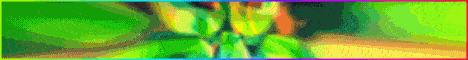 FrootlySMP server banner