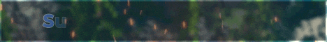 Sunny Horizons Network server banner