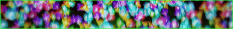 Viciante server banner