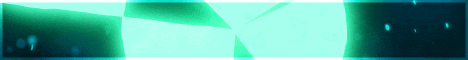 Playbex Network server banner