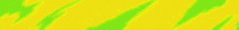 top1server server banner