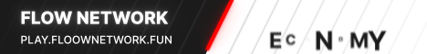 flow network server banner