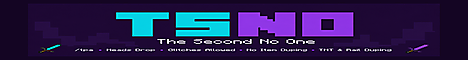 The second no one server banner