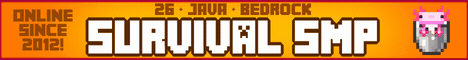 InsanityCraft server banner