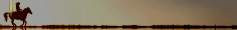Pinecraft Equestrian server banner