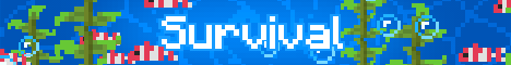 Beach Craft server banner