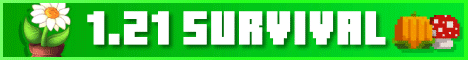 The Seed server banner