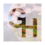 EvergroveMC server icon