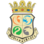 MedievalCraft server icon