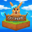 StrayaMC server icon