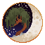 Moss & Moon icon