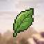 Matcha Flavoured SMP server icon