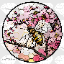 HoneyBlossomSMP server icon