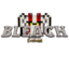 Bleach Evolved server icon
