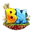 BharatMC Network server icon