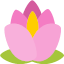 BloomsCraft server icon